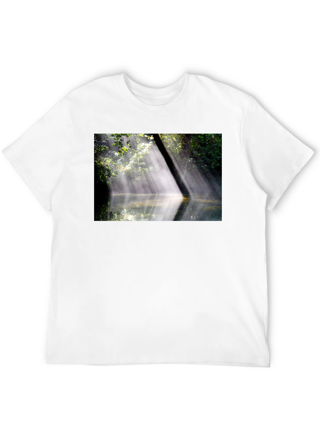 Natures Embrace Tee - Sunlit Forest Design