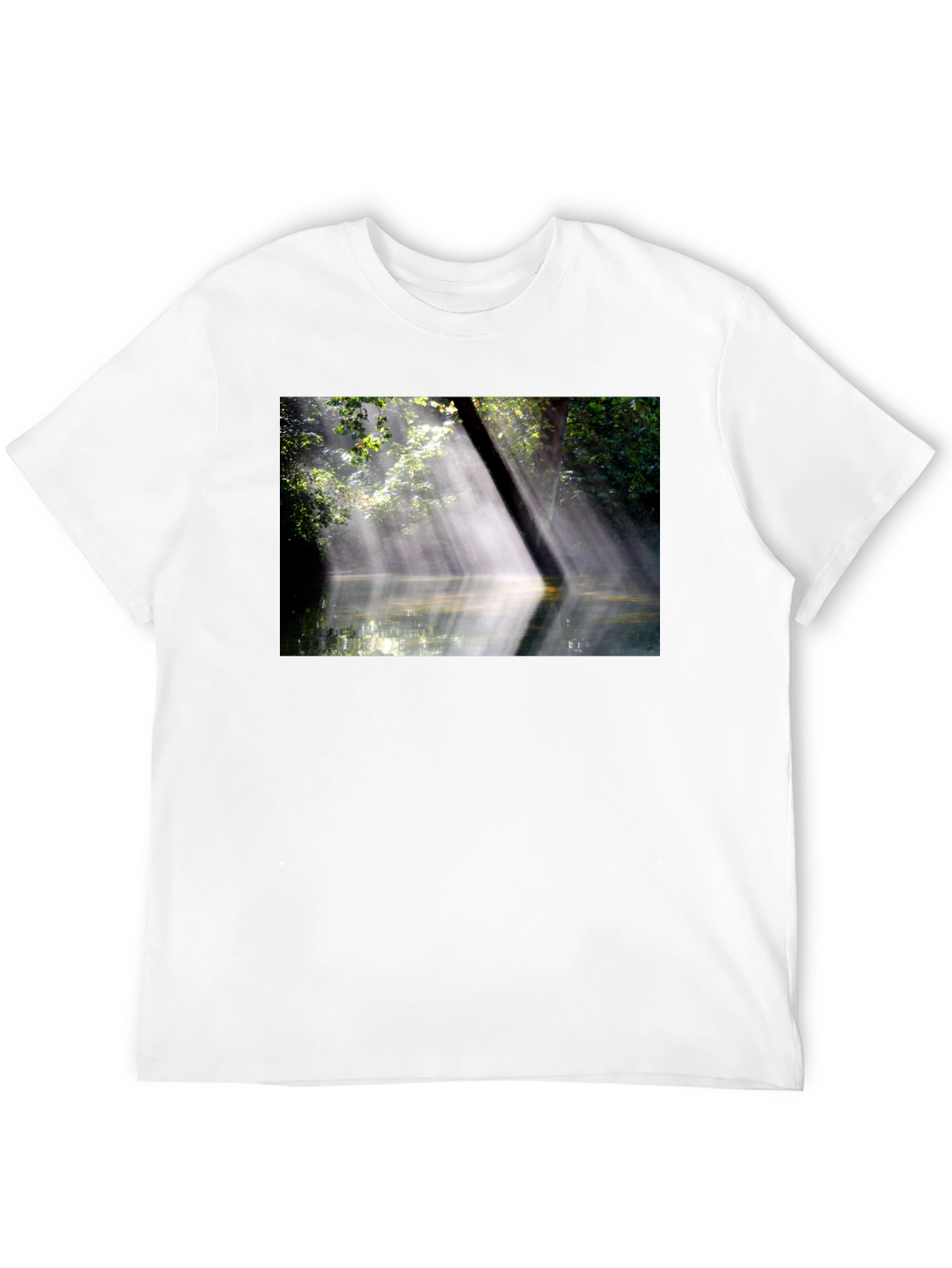 Natures Embrace Tee - Sunlit Forest Design