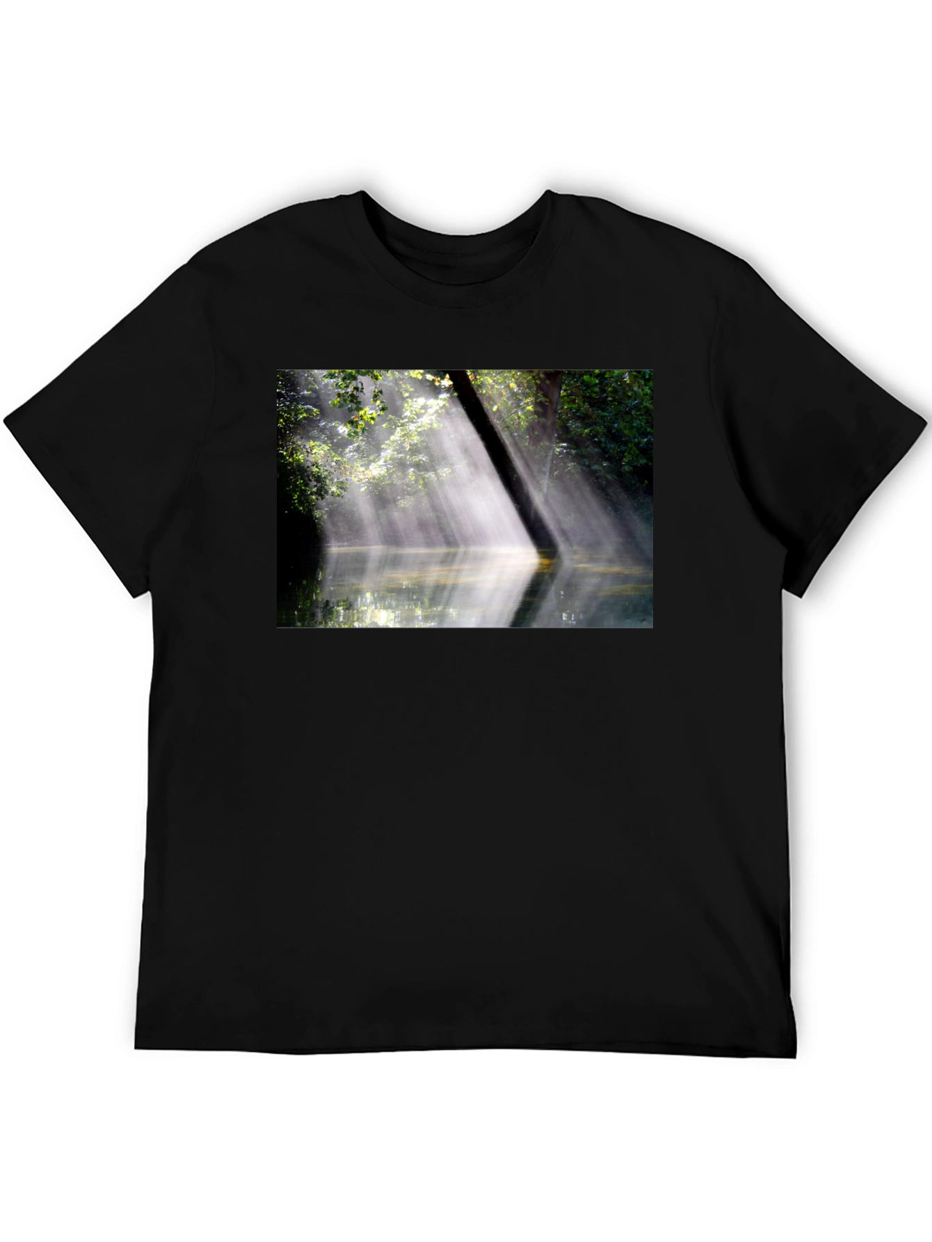 Natures Embrace Tee - Sunlit Forest Design