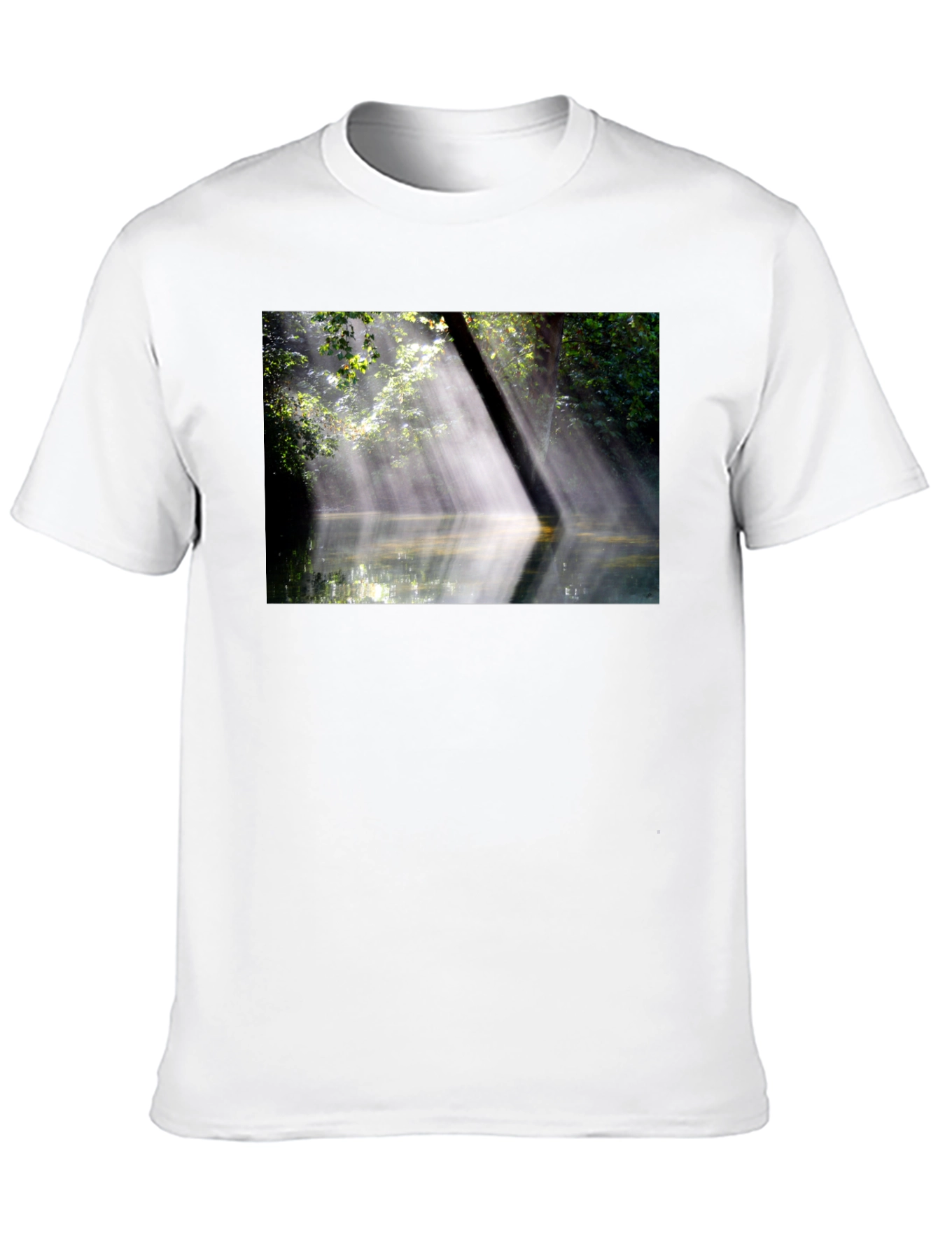 Natures Embrace Tee - Sunlit Forest Design