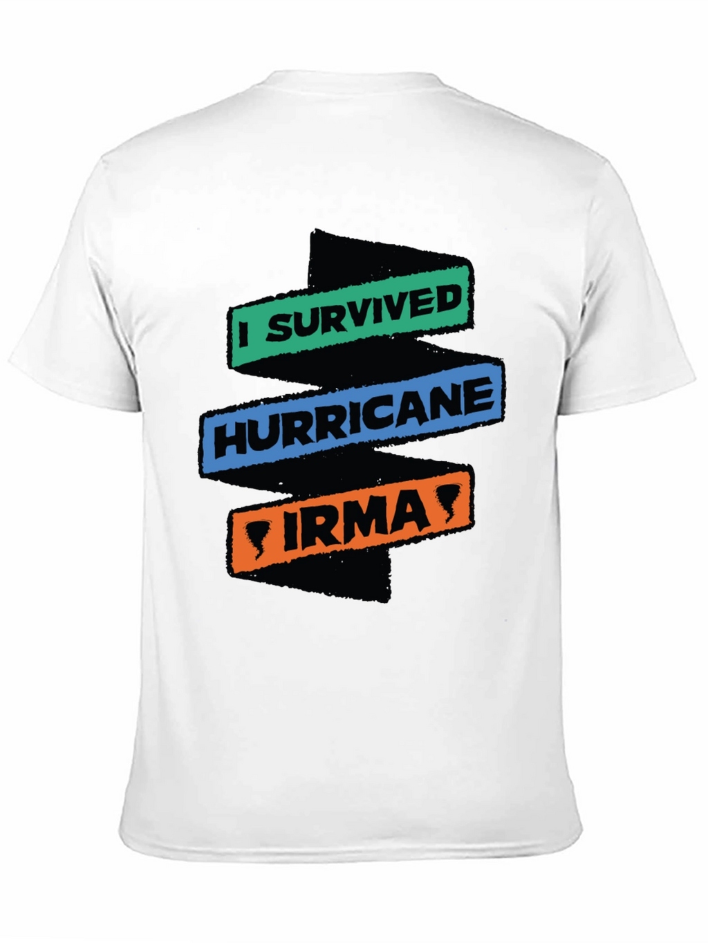 I Survived Hurricane Irma T-Shirt
