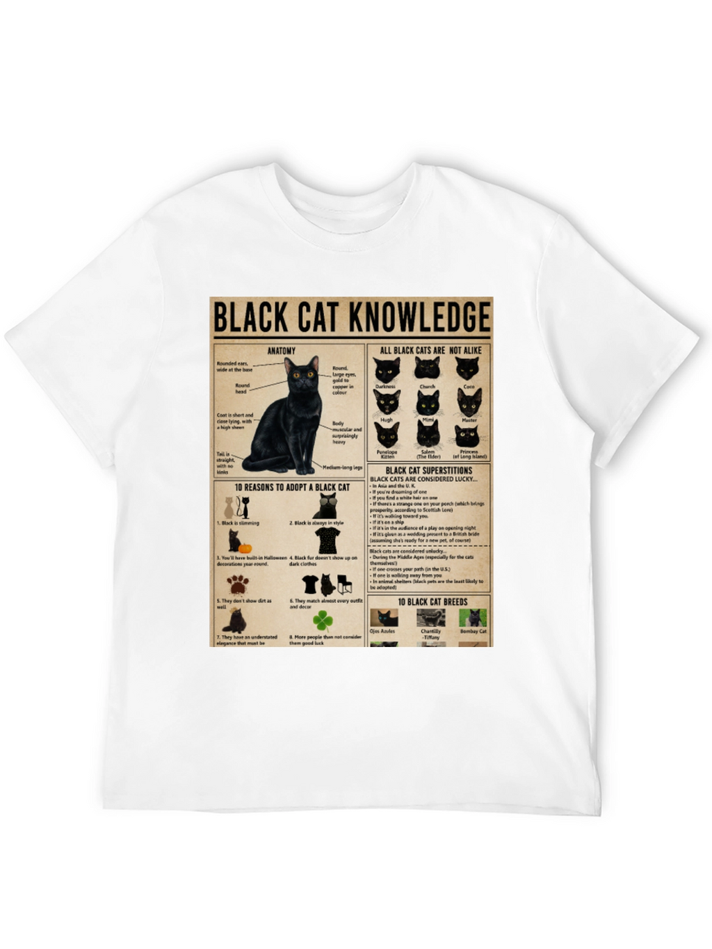 Black Cat Knowledge Graphic T-Shirt
