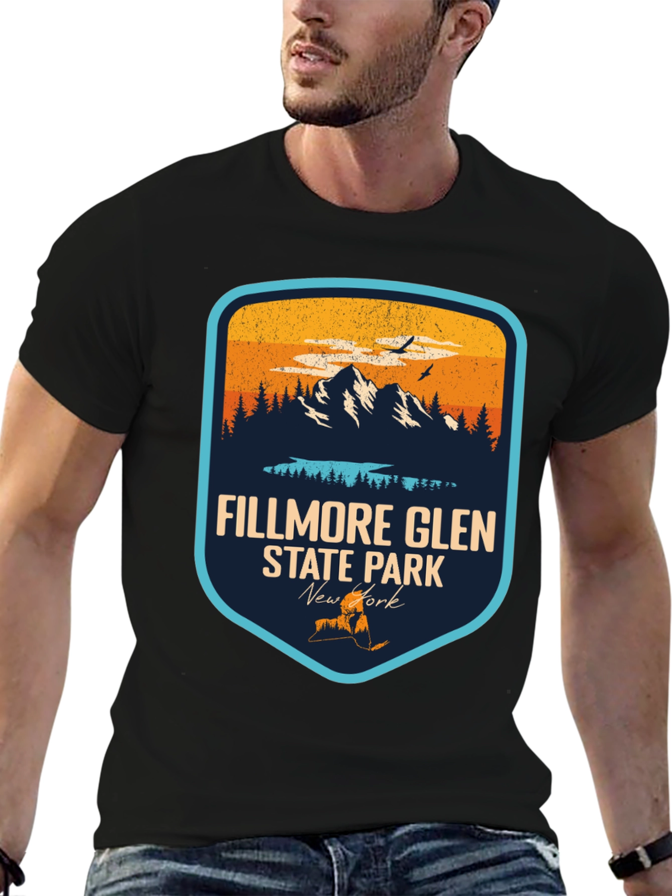 Fillmore Glen State Park Black T-Shirt