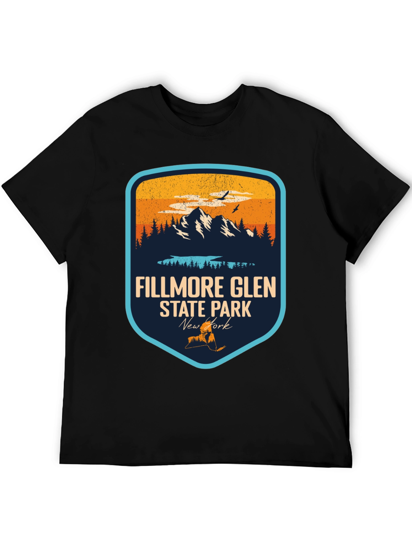 Fillmore Glen State Park Black T-Shirt