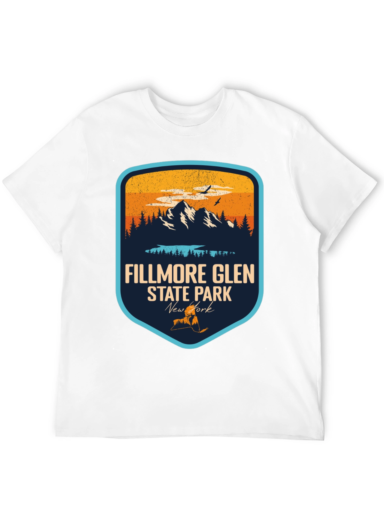 Fillmore Glen State Park Black T-Shirt
