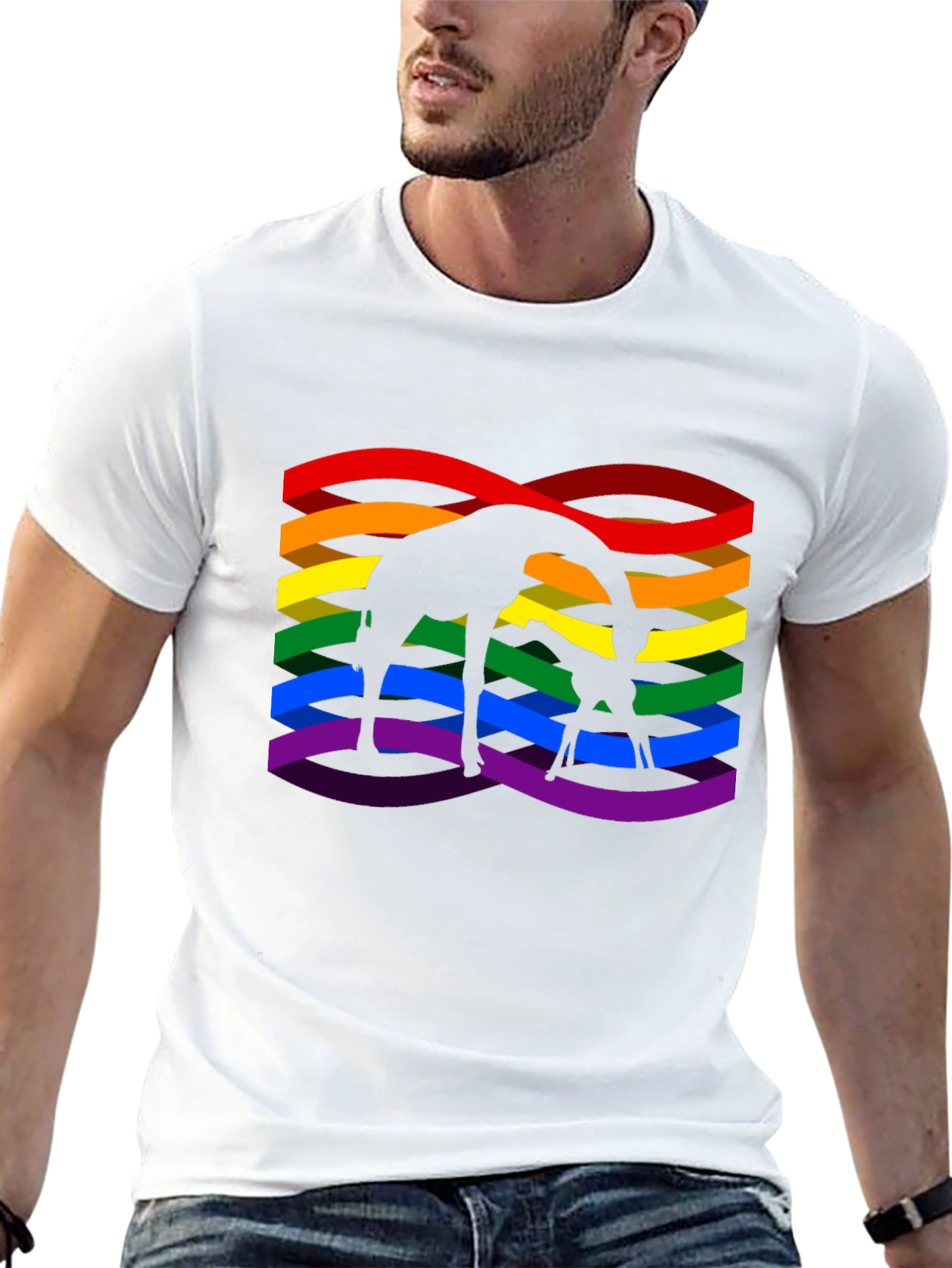 Giraffe Rainbow Pride Graphic T-Shirt