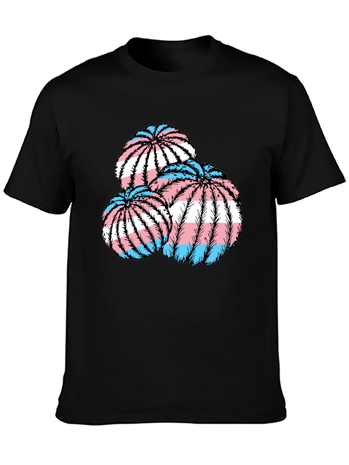 Trans Pride Cactus T-Shirt