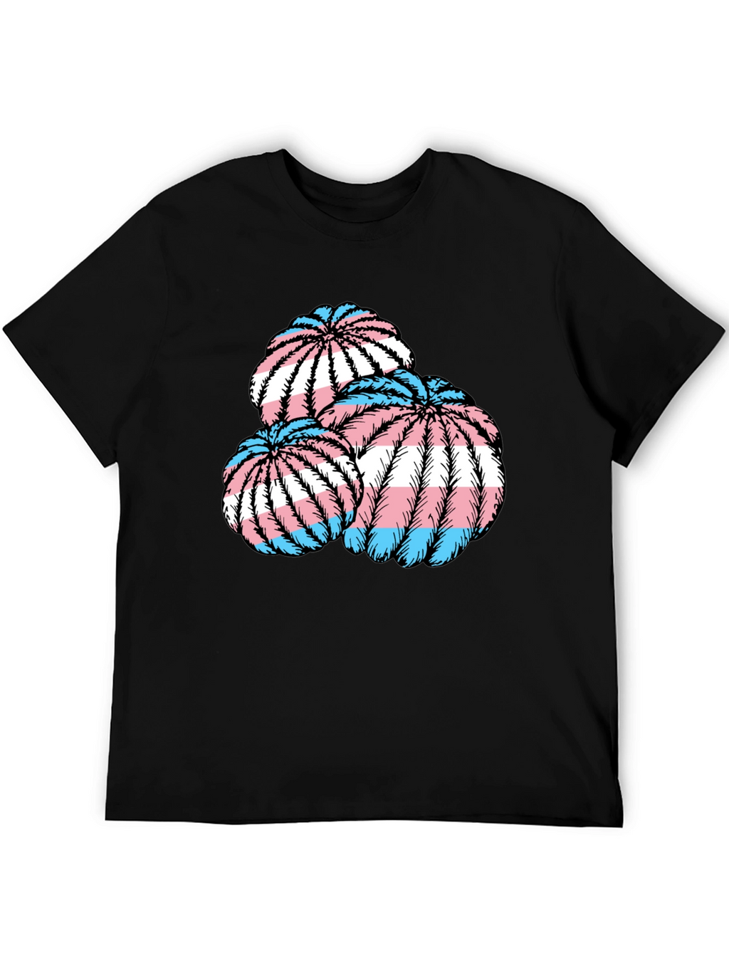 Trans Pride Cactus T-Shirt
