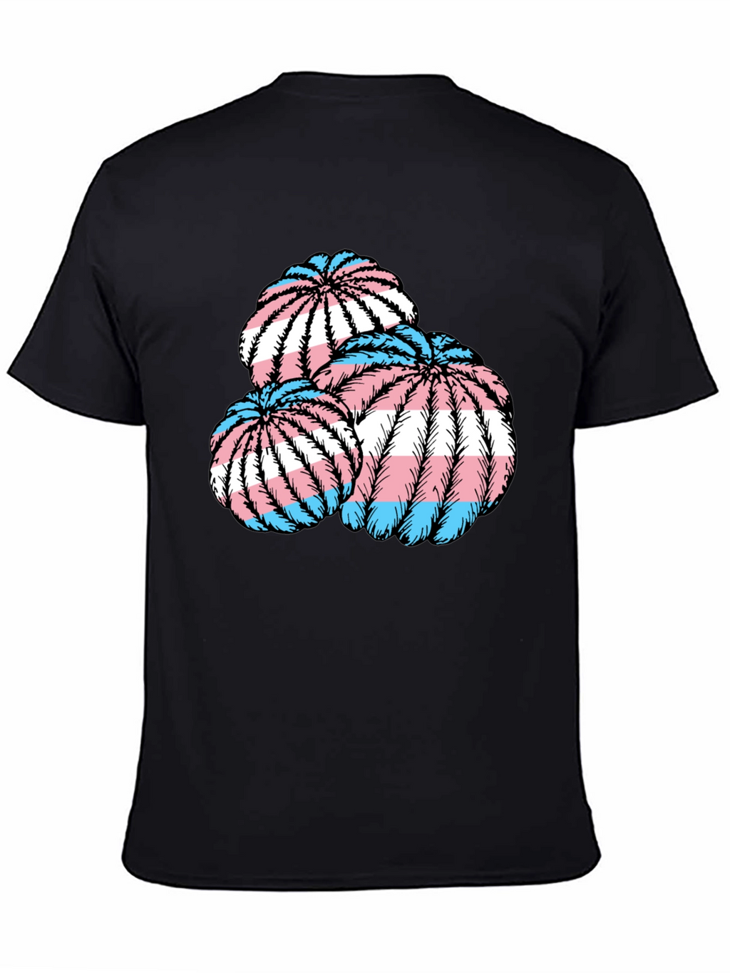 Trans Pride Cactus T-Shirt