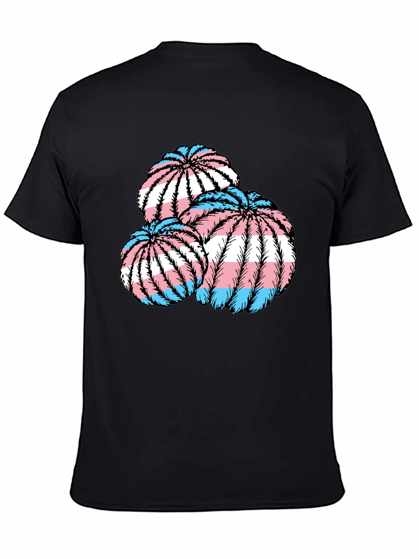 Trans Pride Cactus T-Shirt