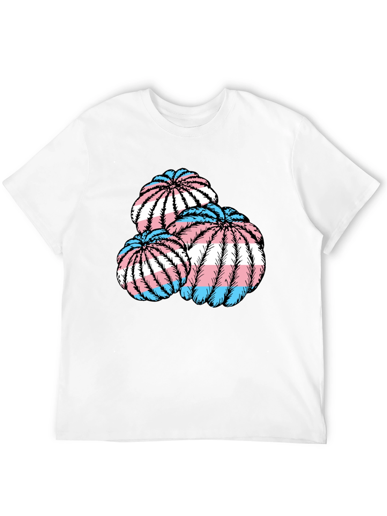 Trans Pride Cactus T-Shirt