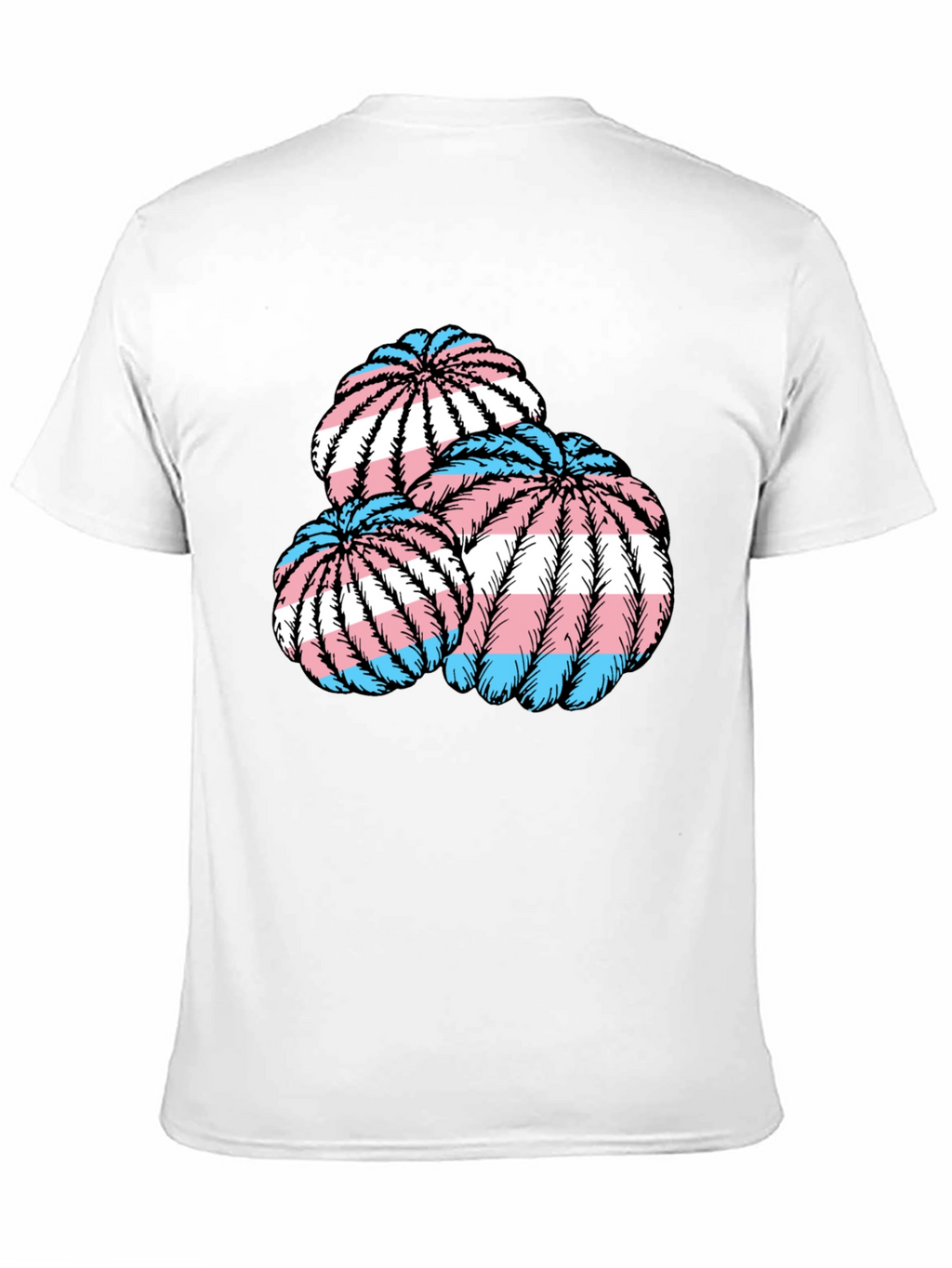 Trans Pride Cactus T-Shirt