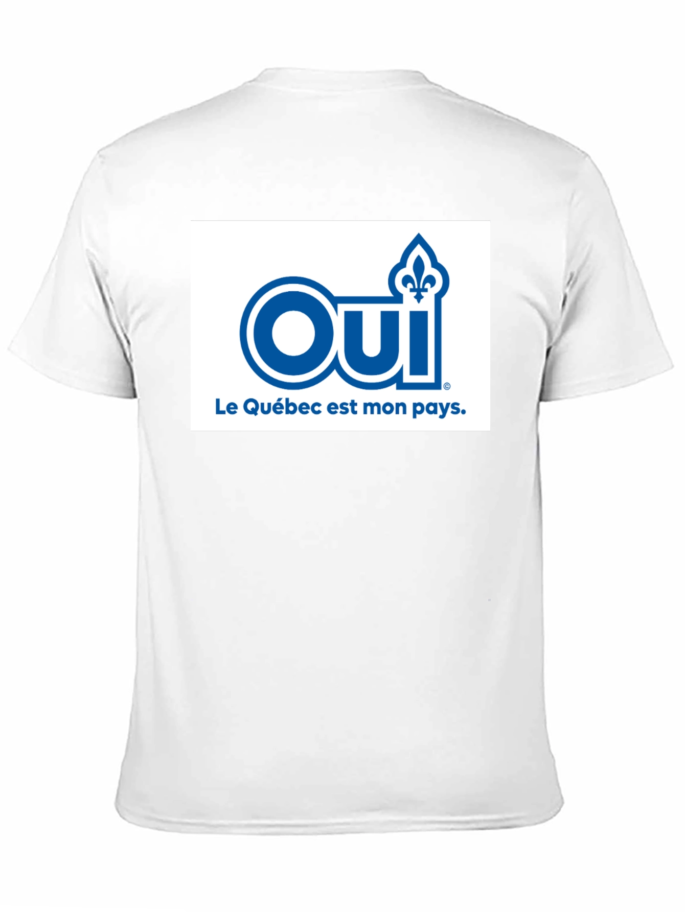 Oui Quebec T-Shirt - Patriotic French Canadian Pride