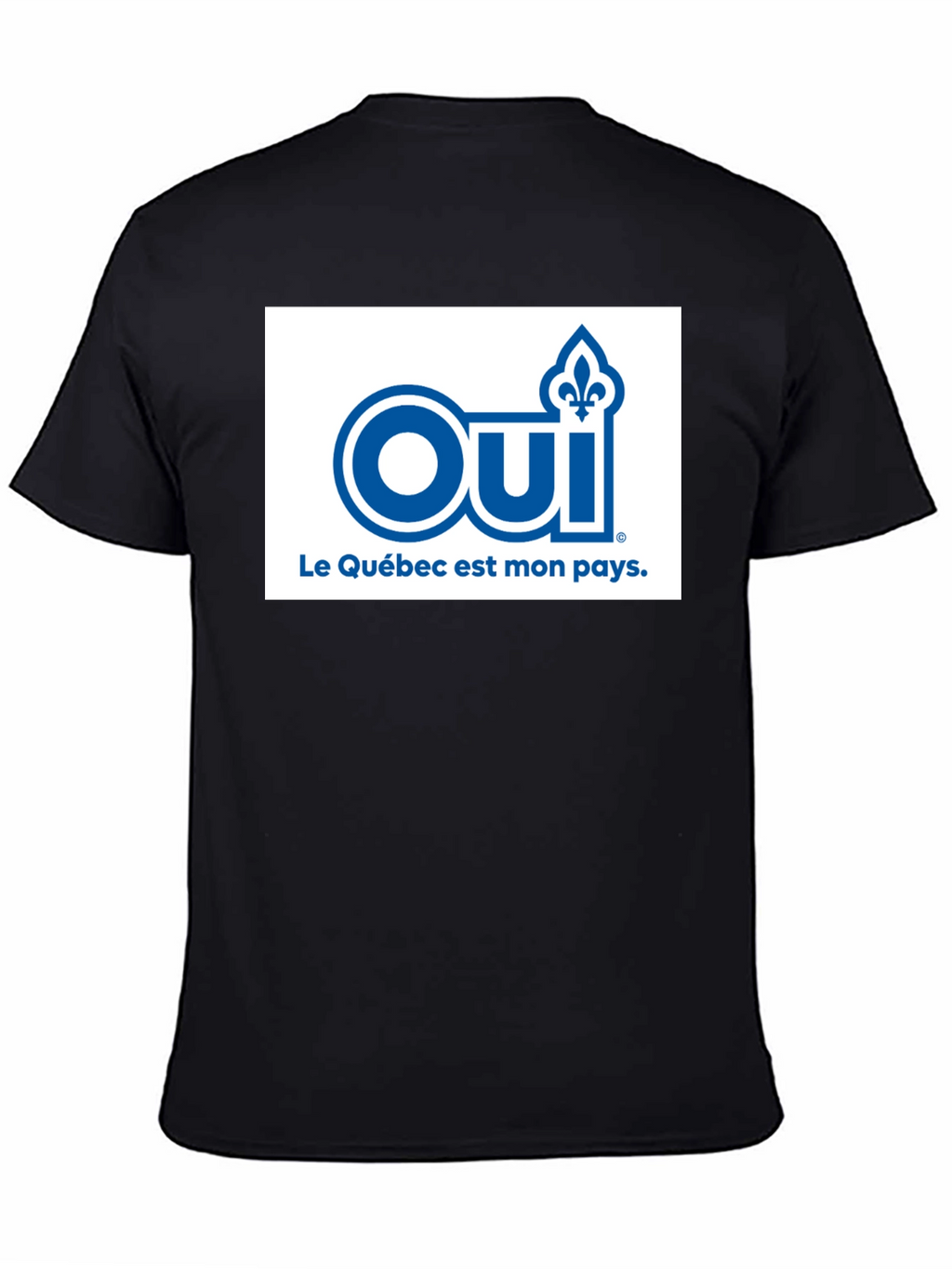 Oui Quebec T-Shirt - Patriotic French Canadian Pride