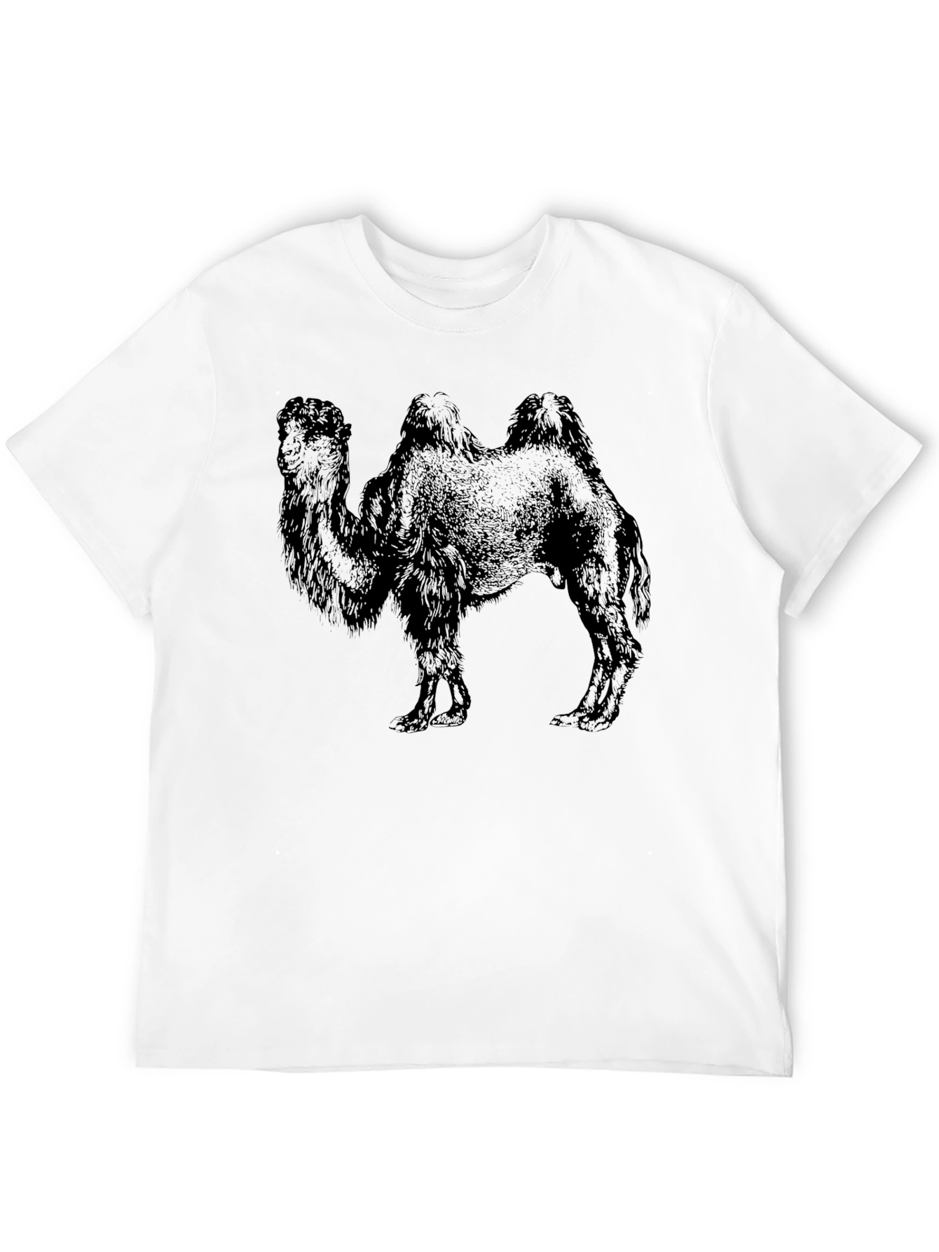 Camel Graphic Print Black T-Shirt