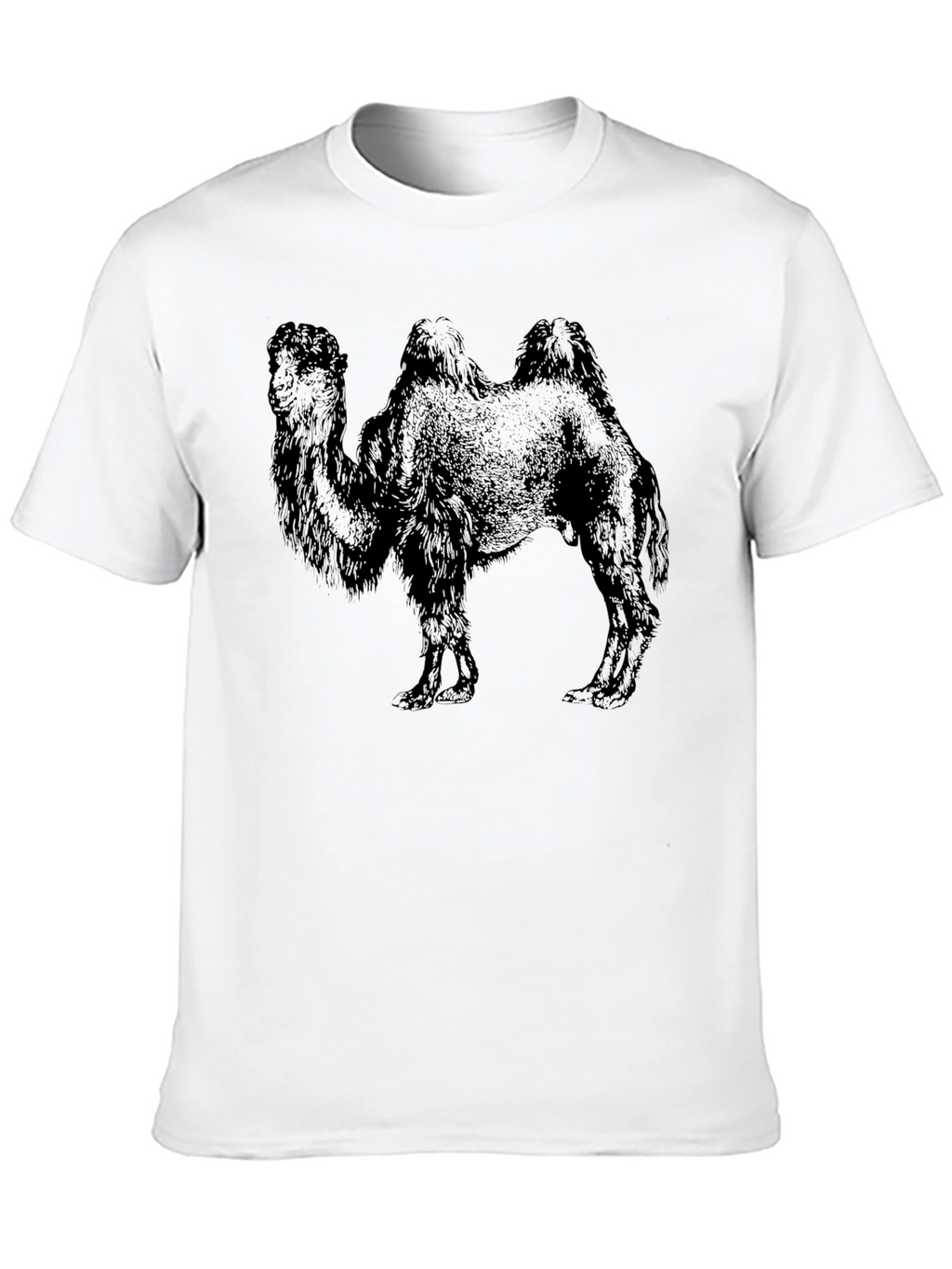 Camel Graphic Print Black T-Shirt