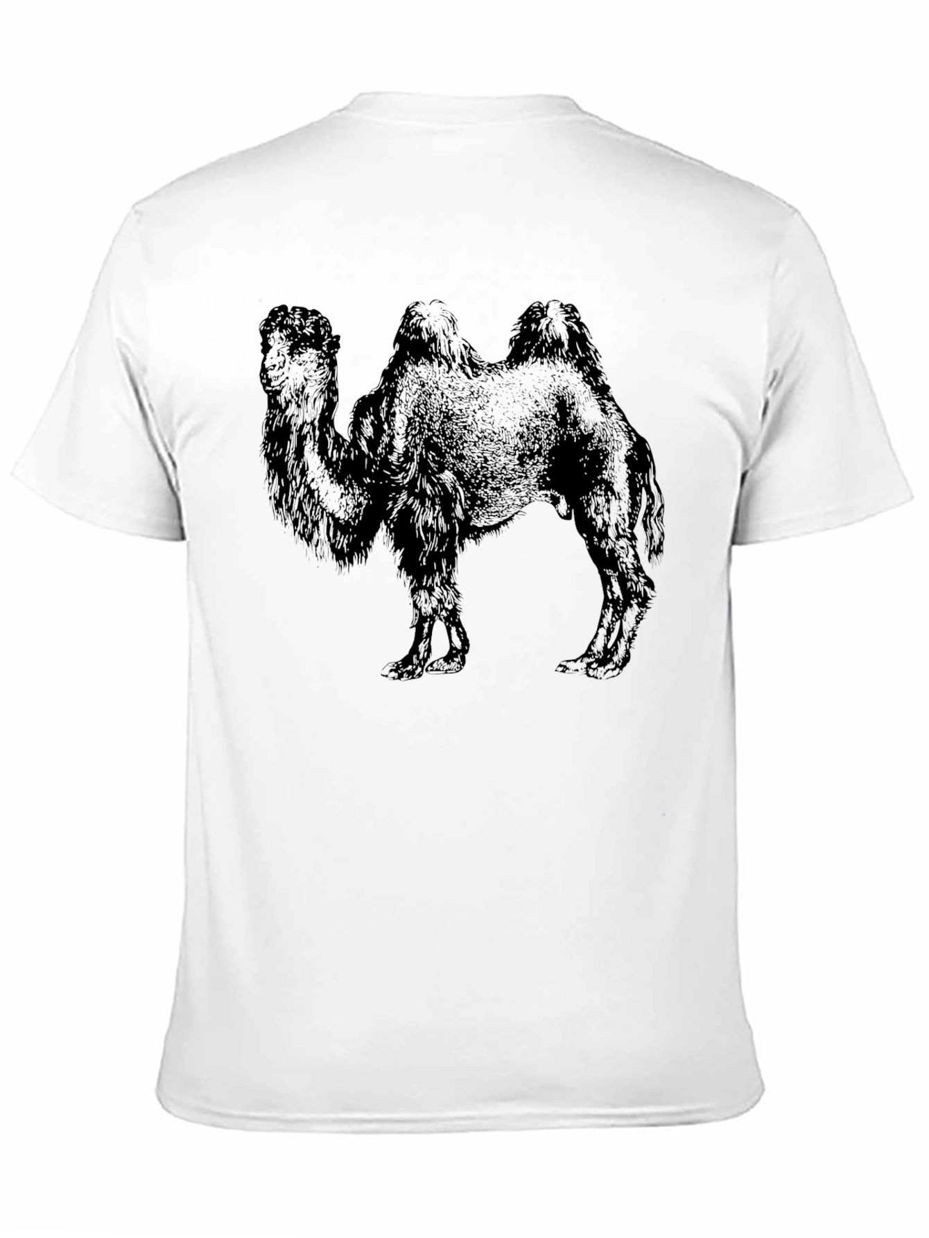 Camel Graphic Print Black T-Shirt