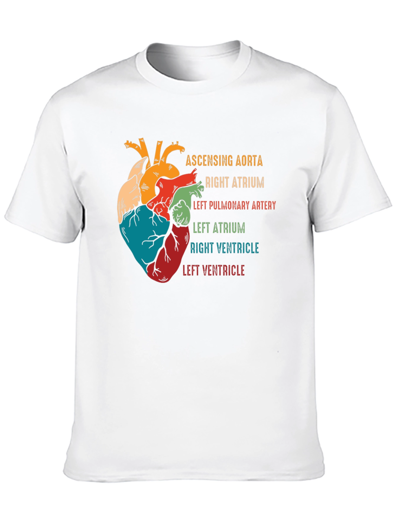 Anatomical Heart T-Shirt - Human Anatomy Graphic Tee