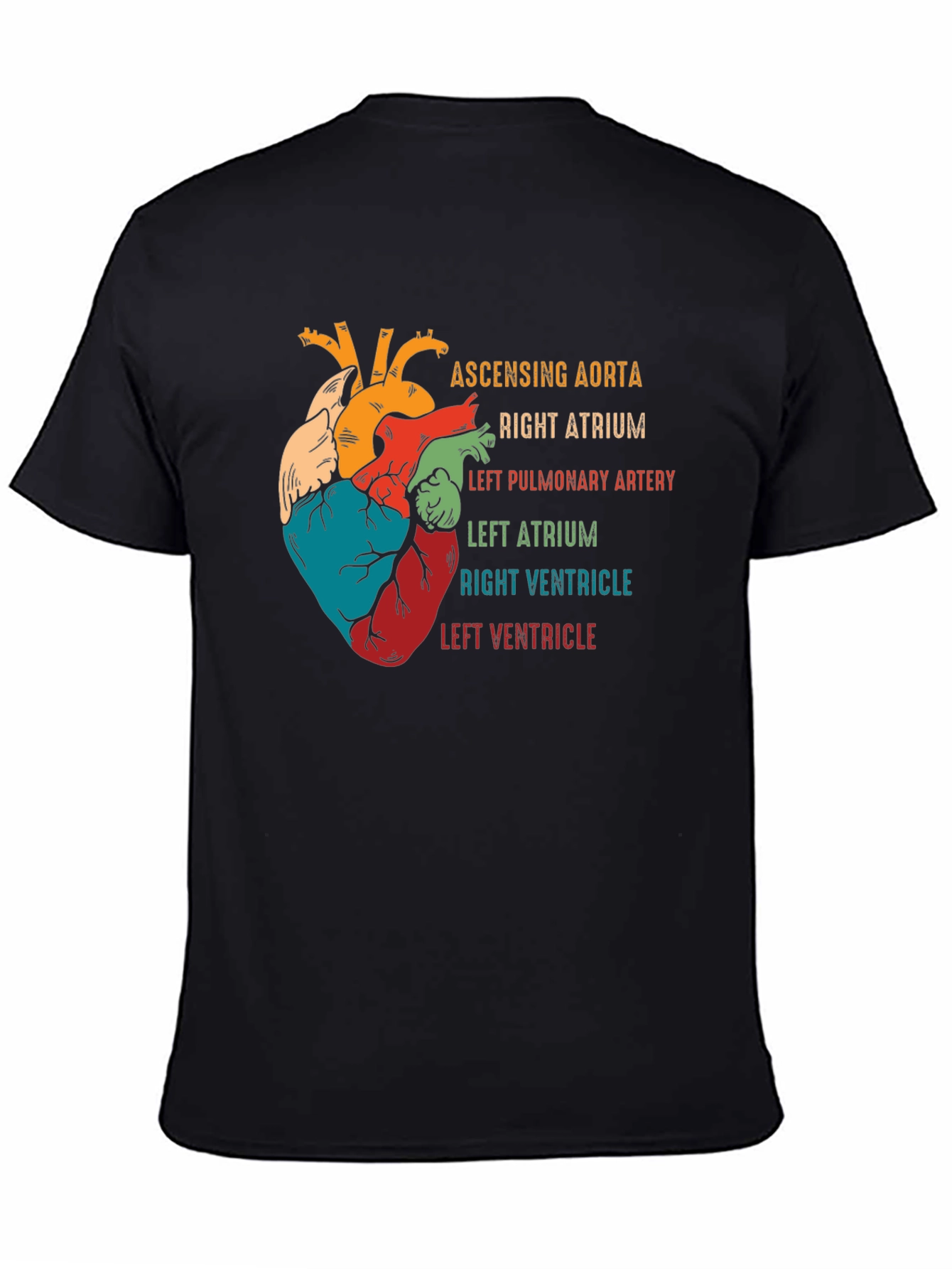 Anatomical Heart T-Shirt - Human Anatomy Graphic Tee