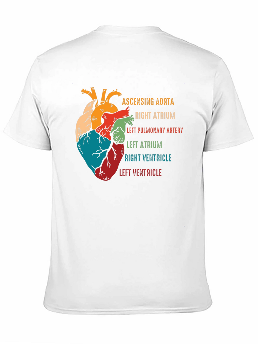 Anatomical Heart T-Shirt - Human Anatomy Graphic Tee