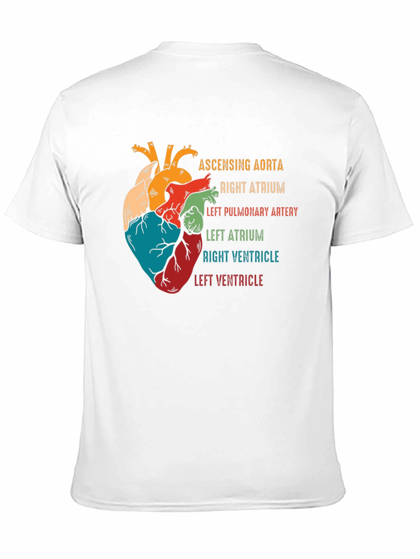 Anatomical Heart T-Shirt - Human Anatomy Graphic Tee