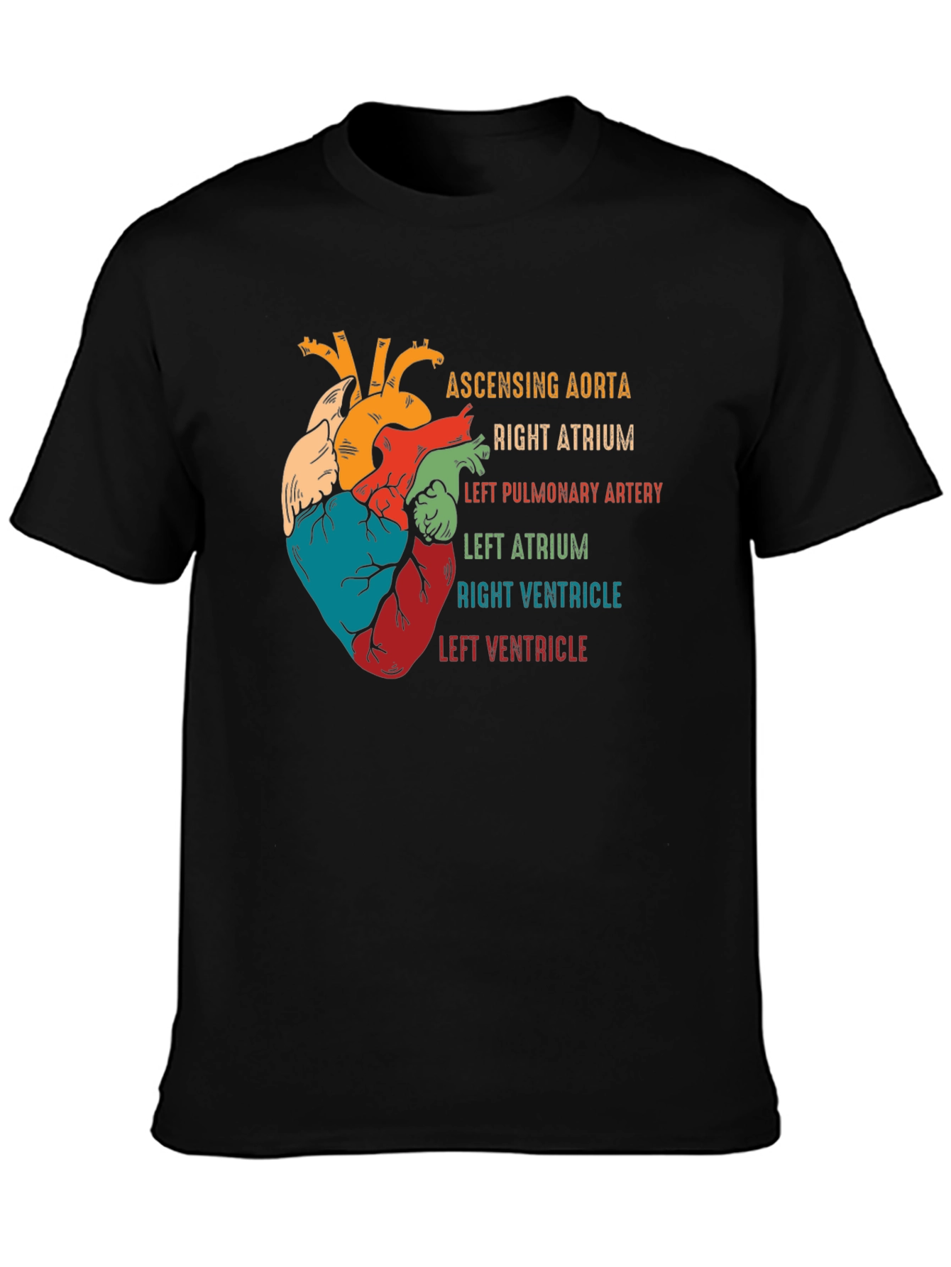Anatomical Heart T-Shirt - Human Anatomy Graphic Tee