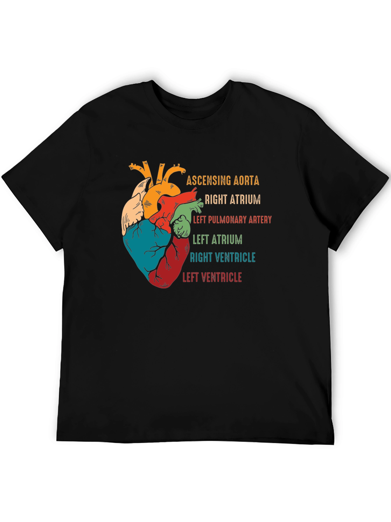Anatomical Heart T-Shirt - Human Anatomy Graphic Tee