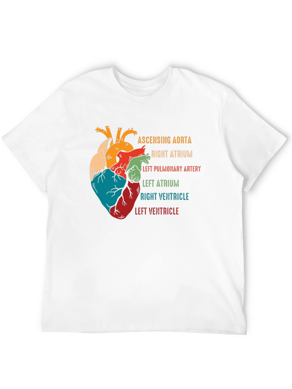 Anatomical Heart T-Shirt - Human Anatomy Graphic Tee