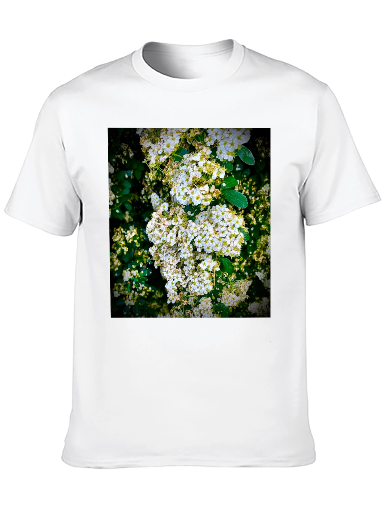 Floral Print T-Shirt: Nature Inspired Graphic Tee