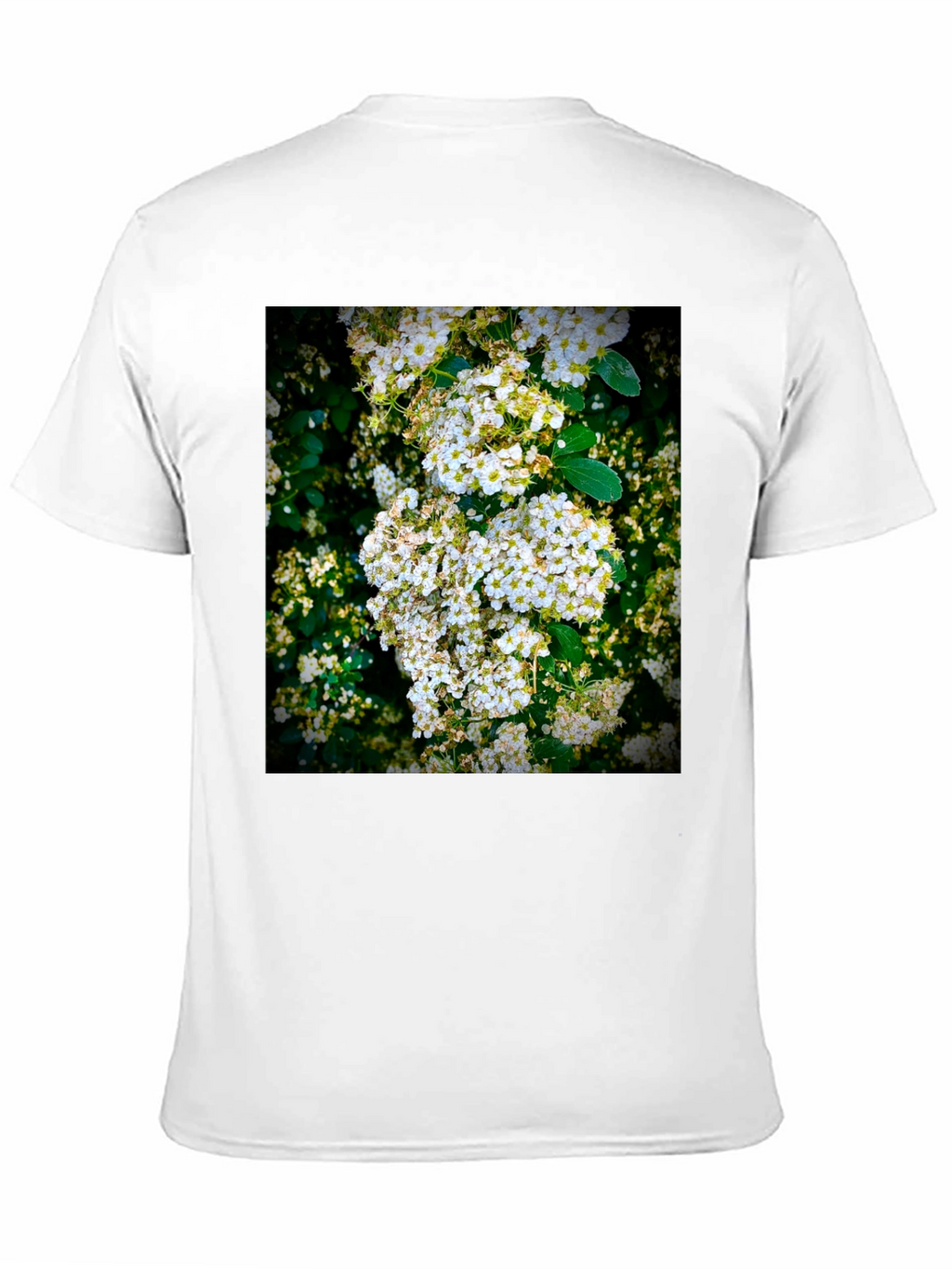 Floral Print T-Shirt: Nature Inspired Graphic Tee