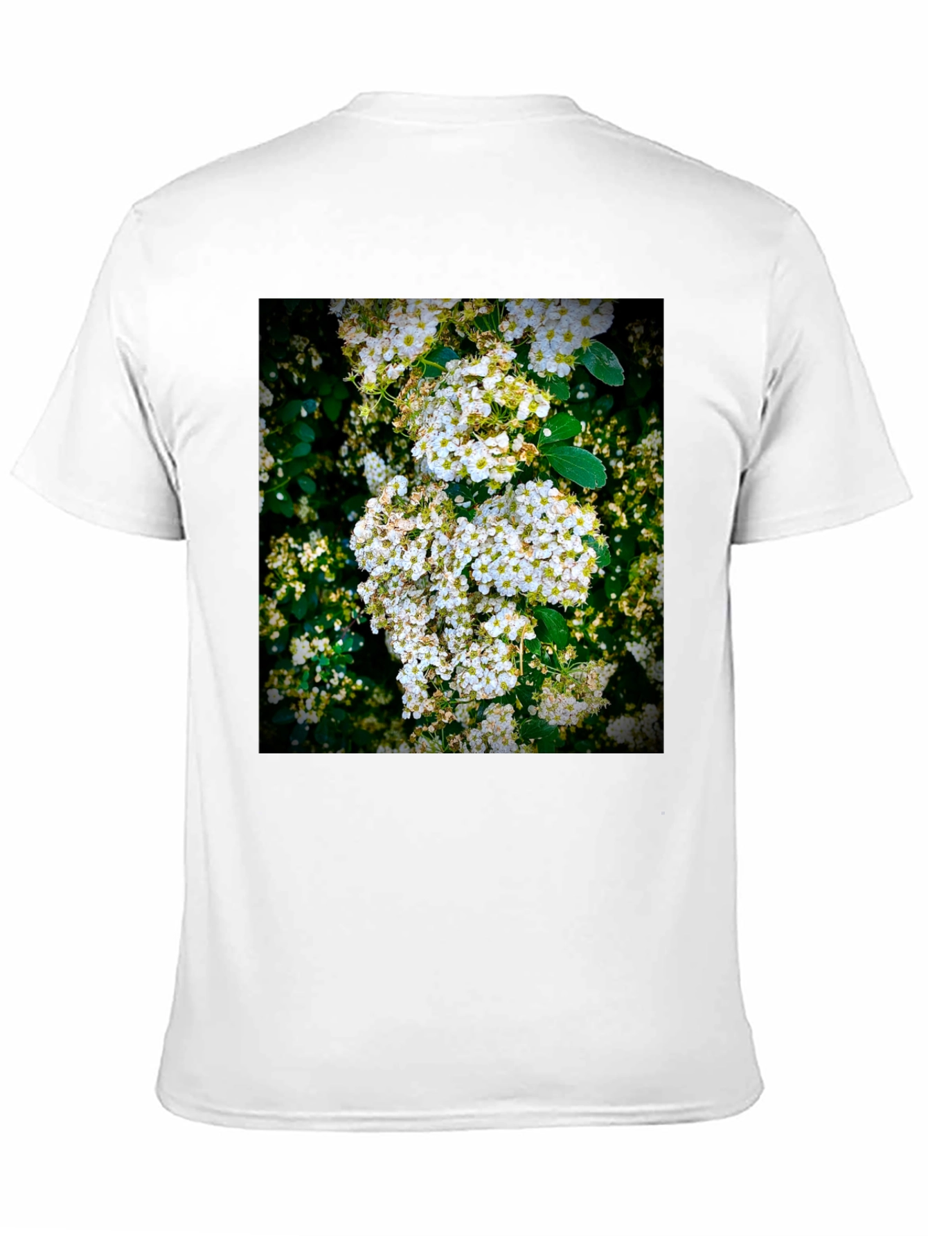 Floral Print T-Shirt: Nature Inspired Graphic Tee