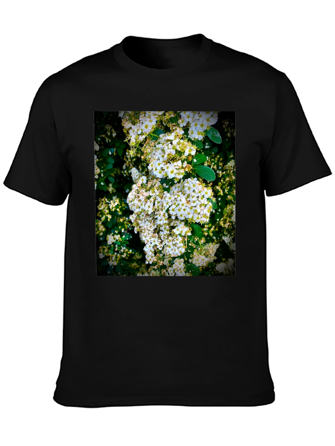 Floral Print T-Shirt: Nature Inspired Graphic Tee