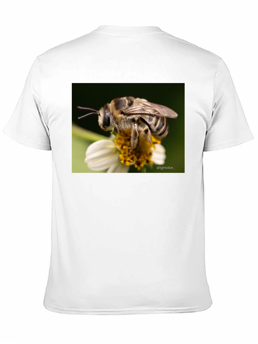 Bee on Flower Graphic T-Shirt