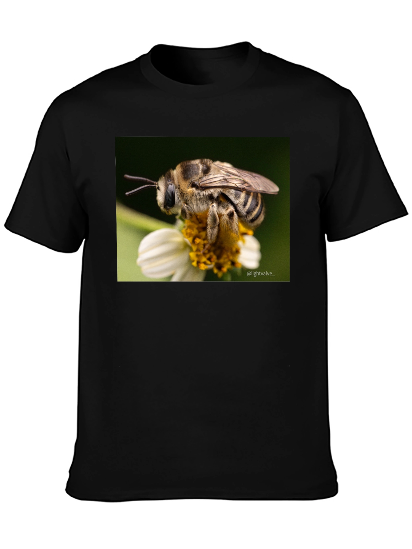 Bee on Flower Graphic T-Shirt
