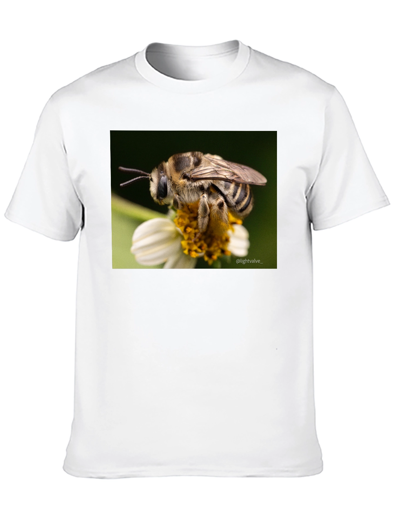 Bee on Flower Graphic T-Shirt