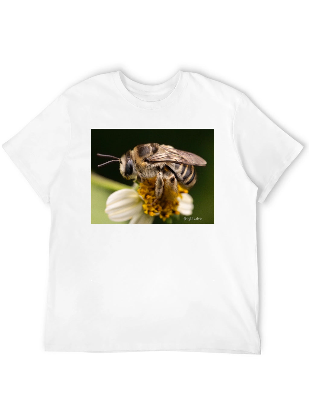 Bee on Flower Graphic T-Shirt