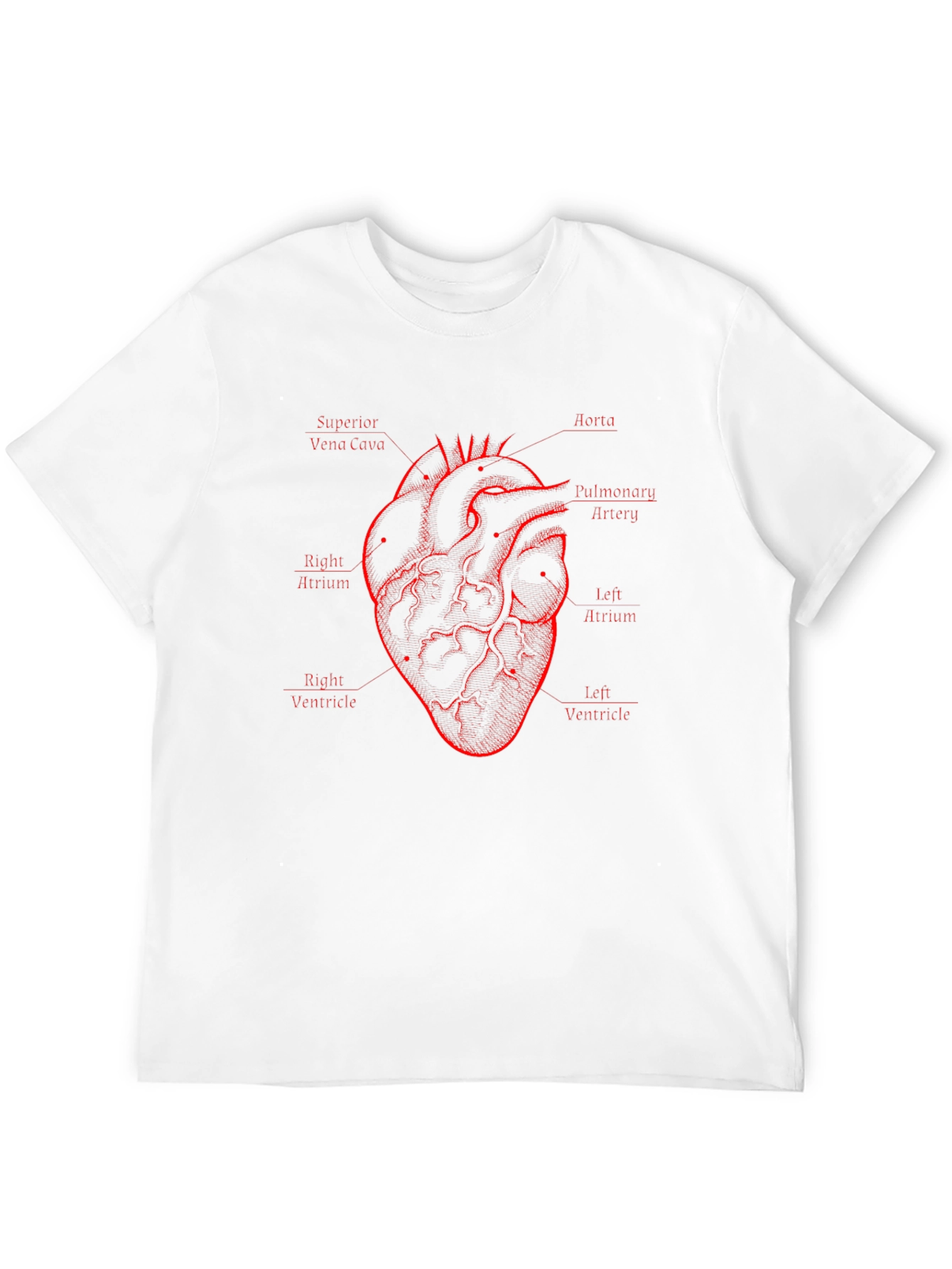 Anatomical Heart Diagram Black T-Shirt