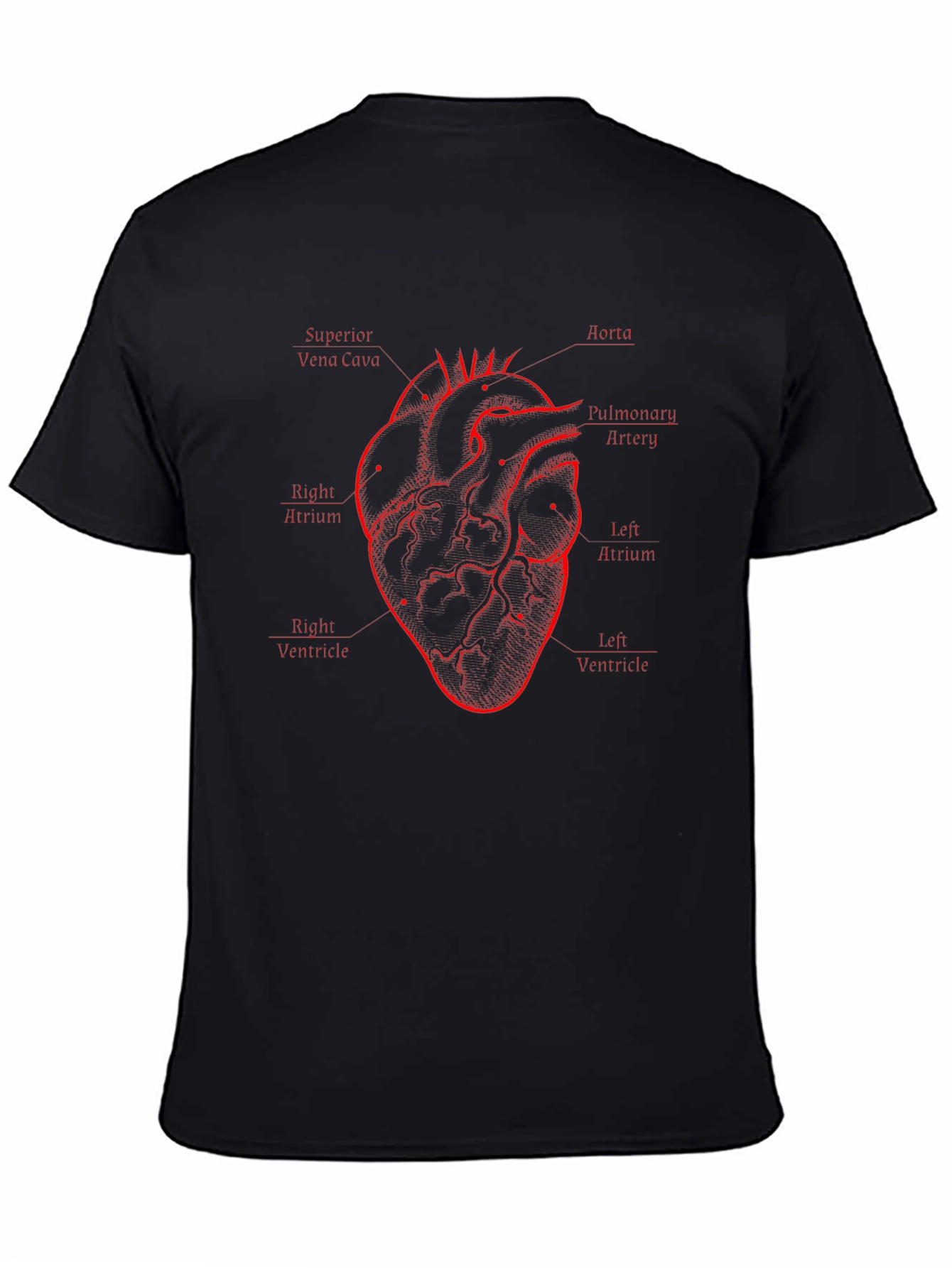 Anatomical Heart Diagram Black T-Shirt
