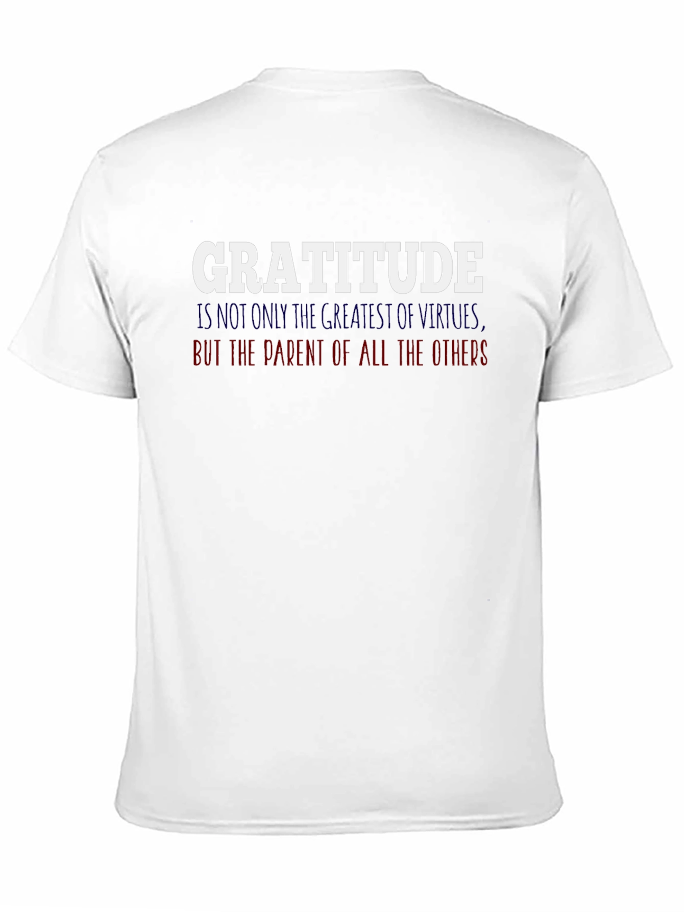 Gratitude Graphic T-Shirt - Inspirational Tee