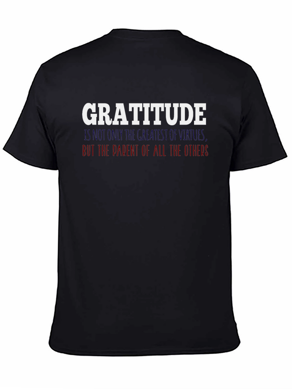 Gratitude Graphic T-Shirt - Inspirational Tee