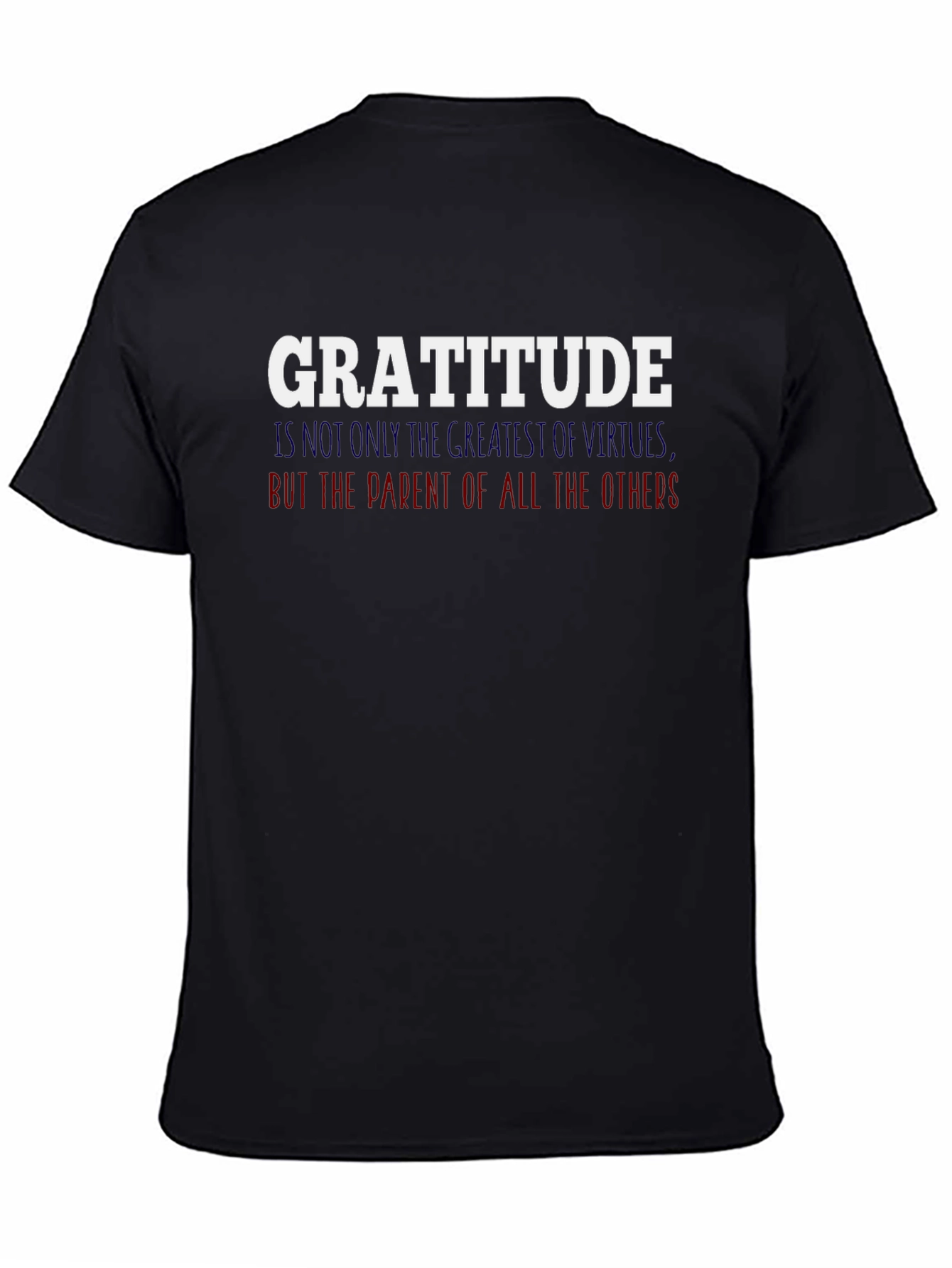 Gratitude Graphic T-Shirt - Inspirational Tee