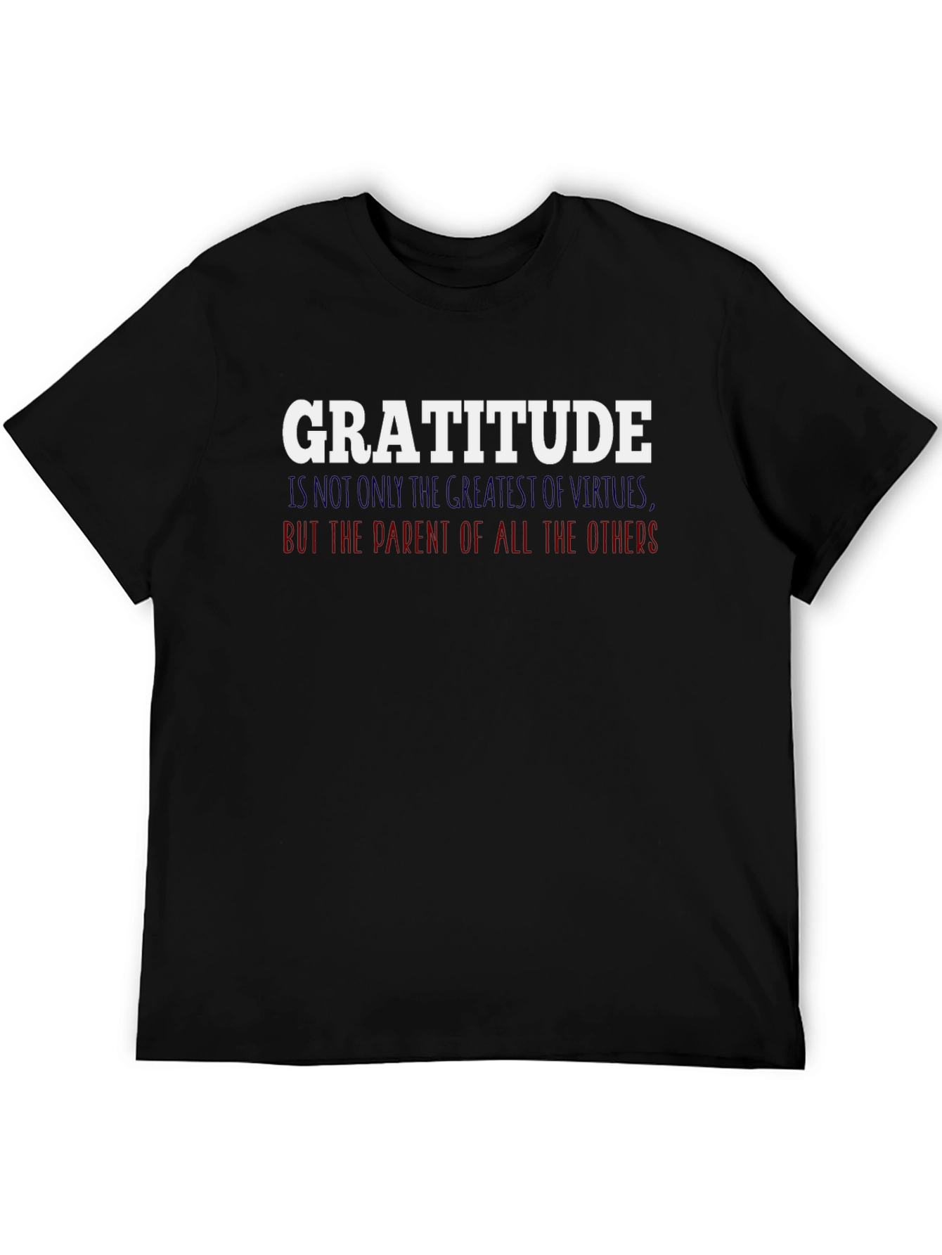 Gratitude Graphic T-Shirt - Inspirational Tee