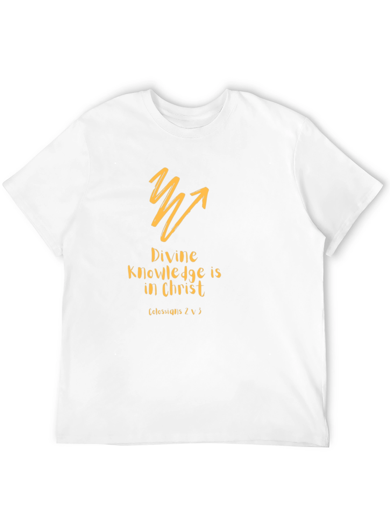 Divine Knowledge Christian T-Shirt - Black