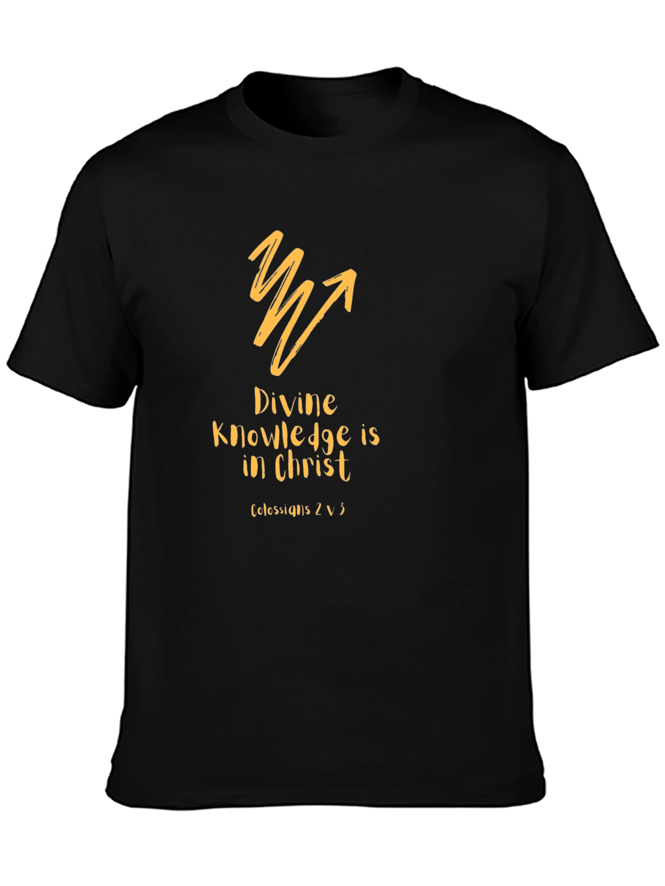 Divine Knowledge Christian T-Shirt - Black