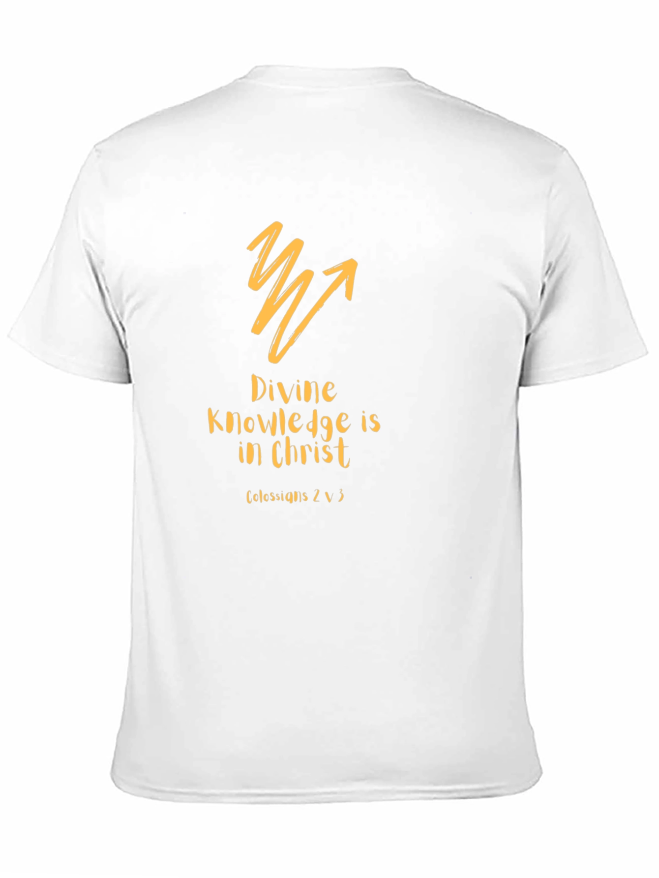 Divine Knowledge Christian T-Shirt - Black