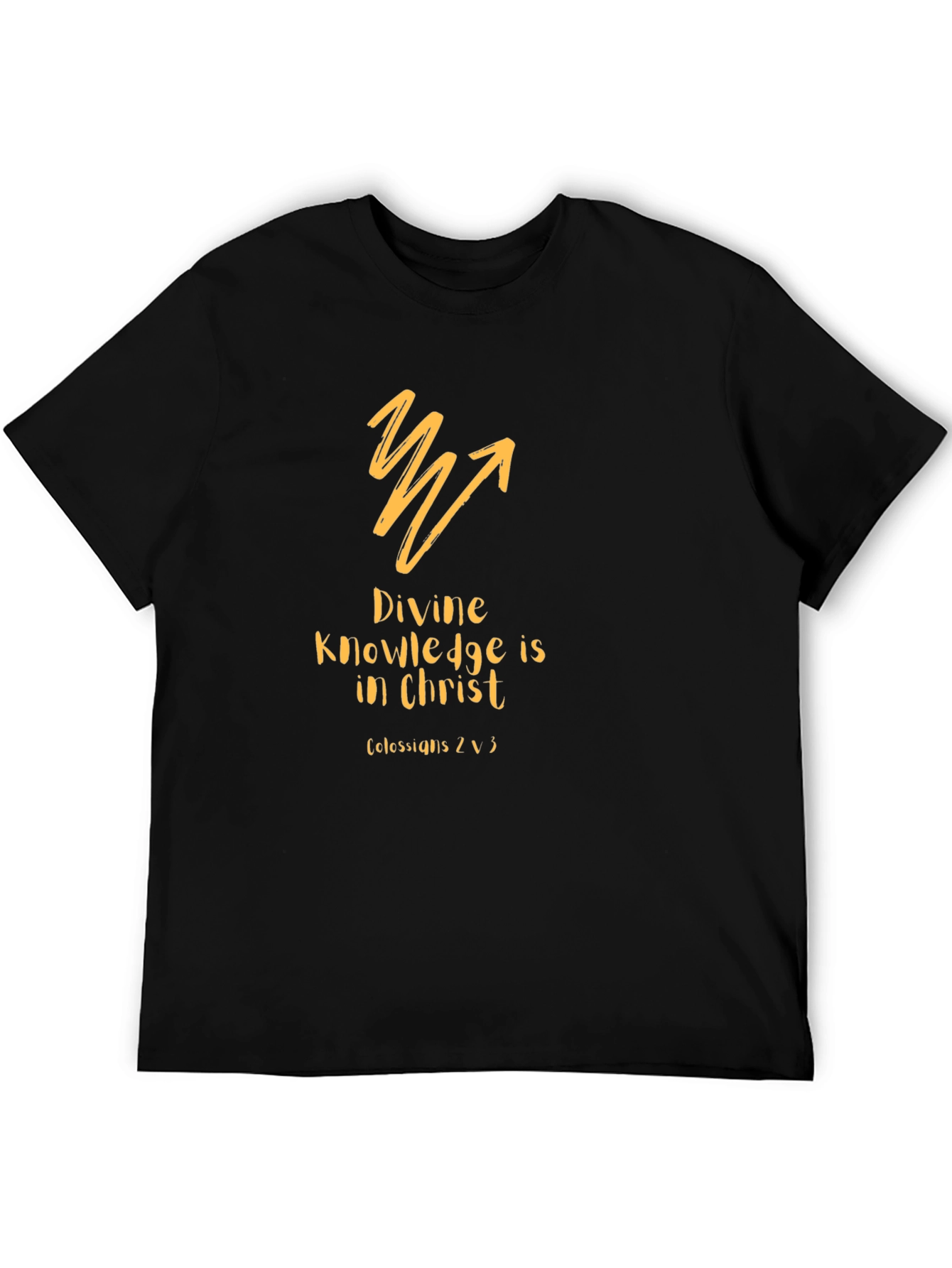 Divine Knowledge Christian T-Shirt - Black