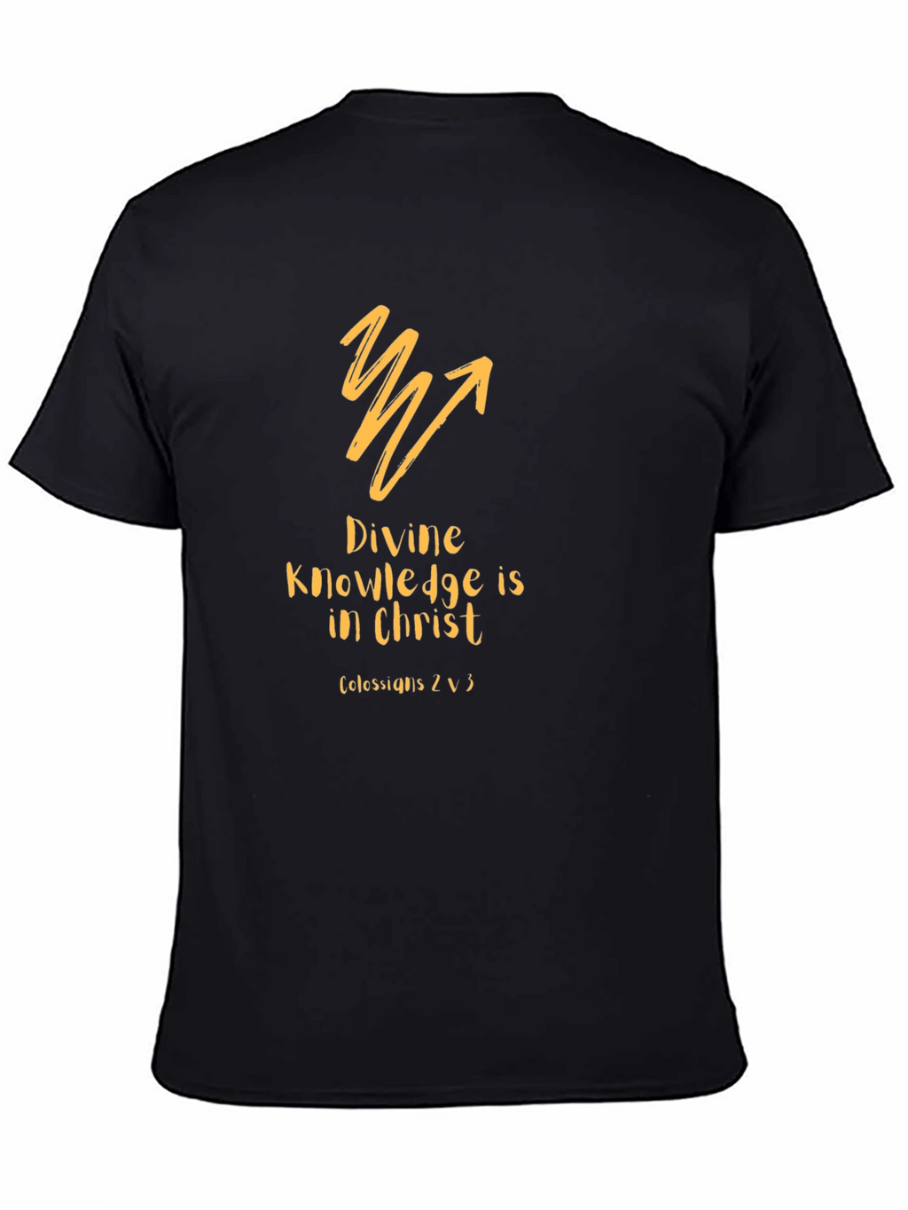 Divine Knowledge Christian T-Shirt - Black