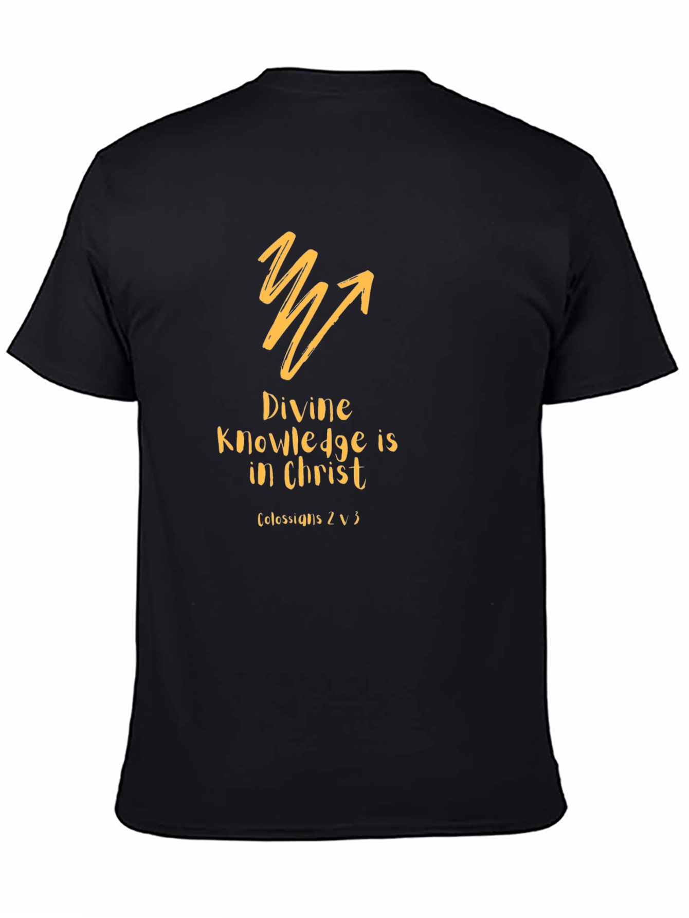Divine Knowledge Christian T-Shirt - Black
