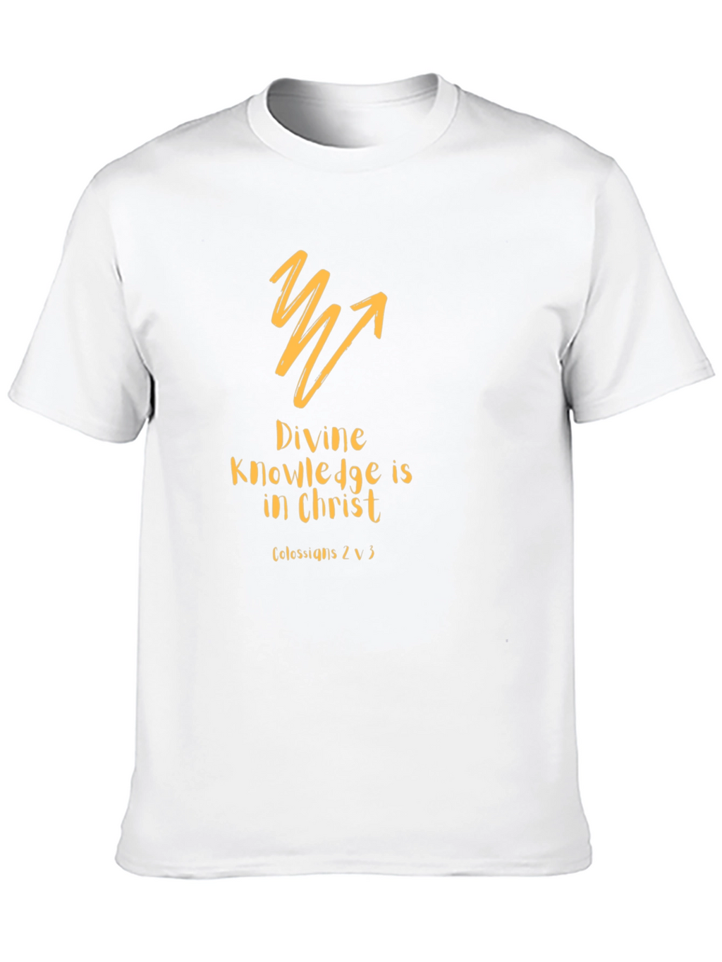 Divine Knowledge Christian T-Shirt - Black