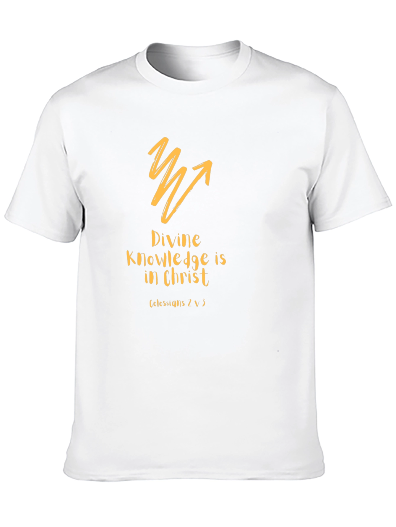 Divine Knowledge Christian T-Shirt - Black